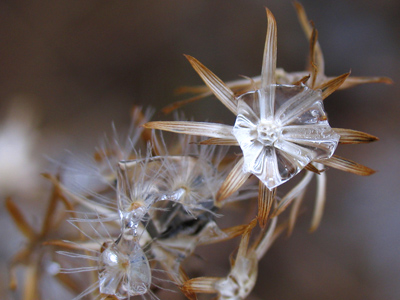 Diamonds in the rough.