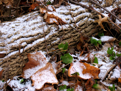A few hours later, this scene was buried by snow.