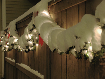 After a casual glance out my back window at 10:30pm, I was obliged to bundle up and take the camera outside.