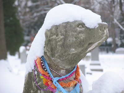 `Did you remember to let Coco in last night?`