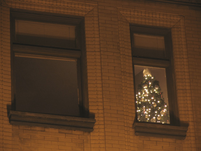 Each bough doth hold its tiny light, That makes each toy to sparkle bright, O Tannenbaum, O Tannenbaum.