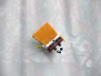 A TV celebrity that can help you clean the windows.