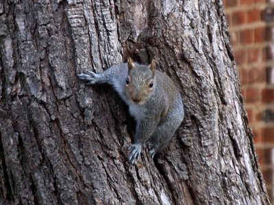 Can`t be too cautious . . . 