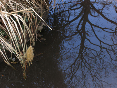 On the corner of Green and Tecumseh.