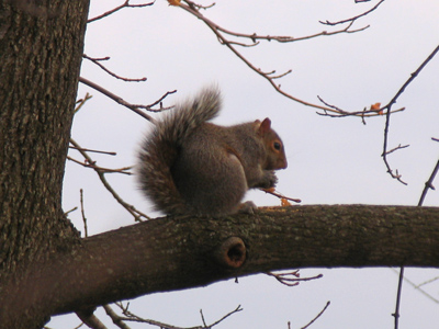 Breakfast is the most important meal of the day.