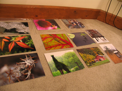 Photos on the phloor again -- must be an exhibition coming up.