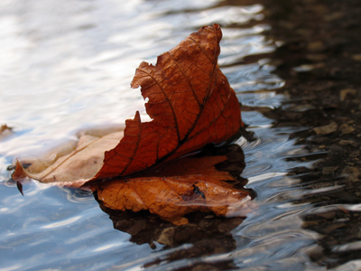 Ripples equals wind which equals cold.