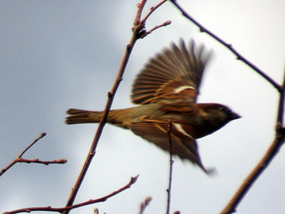 Places to go, people to see.