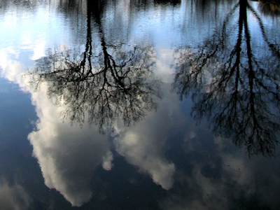 I wonder if anyone has ever been so desperate for money that they pawned a pond.