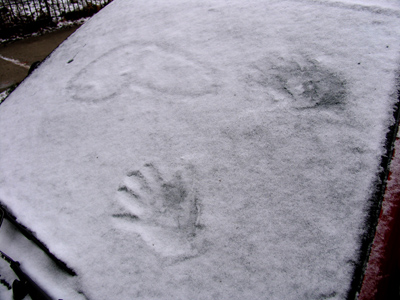 On my windshield:  a message from last night.