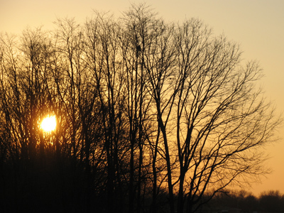 Isn`t it supposed to be yellow?