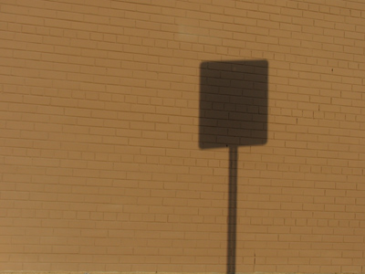 The first sign of spring.