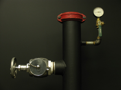 `I do solemnly swear . . . `