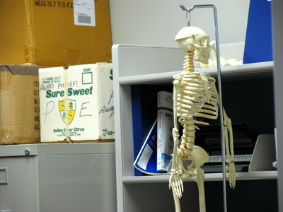 During spring break, offices cut back to a skeleton staff.