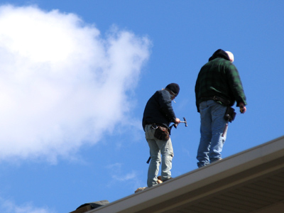 A precarious perch on a windy day.