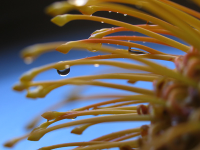 A shot like this required lots of patience, ingenuity . . . 