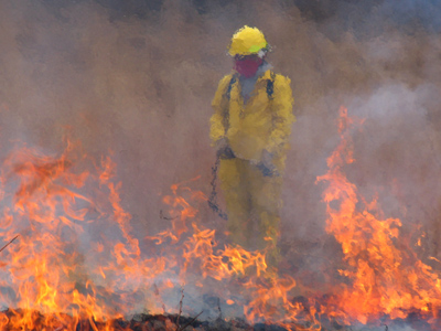 In addition to being concerned about focus and composition, I also had to pay attention to wind direction.