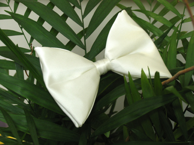 A rare sighting of the silken snow butterfly.