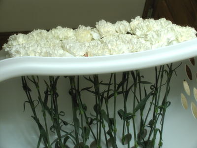 What`s he up to now?