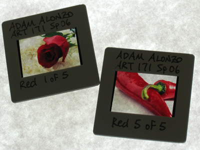 I guess I put the film in the wrong place, because it came out as slides.