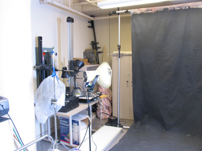 My first picture taken [accidentally] with a studio strobe light.