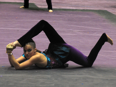 These are athletes:  they have strength and stamina, speed and dexterity, courage and competitiveness.