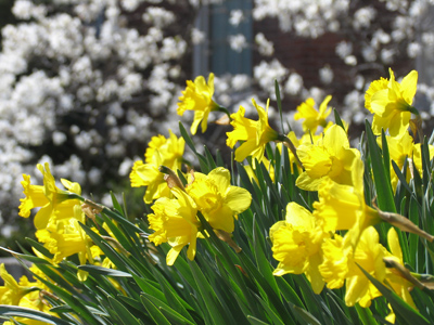 I would never wear these colors, but they look good here.