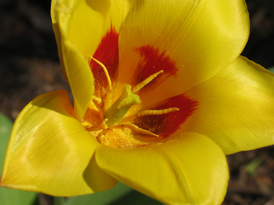 Looks great, but there`s a price to pay {sniffle}.