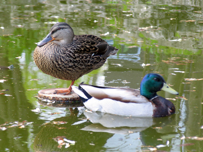 `I can`t believe you just said that about my mother.`