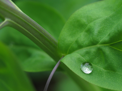 Where shivers down my spine come from.