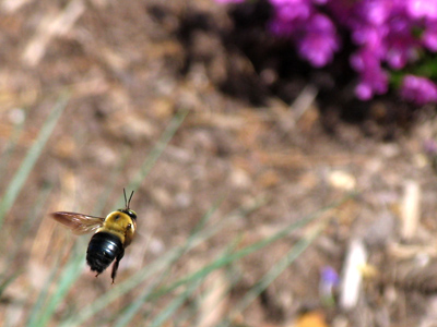  . . . they`re down low.