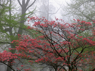 See, I don`t ALWAYS zoom in close.