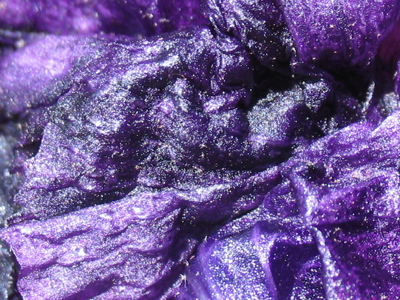 My camera has an iris too.