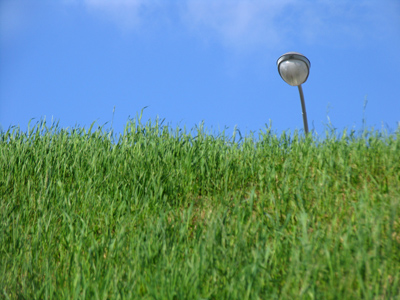 Occasionally I take a picture that reminds me of the good old days when this was not drudgery.