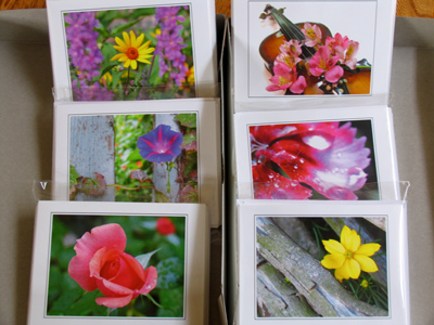 You can buy my photo notecards at 118 North Jefferson Street in downtown Dayton.  Go now . . . I`ll wait.