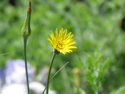 Forget this picture and go look at August 10, 2005.