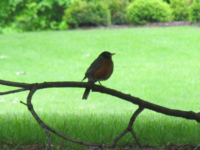 Photography is about contrast.