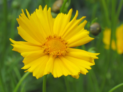 From where the dawn comes up like thunder.