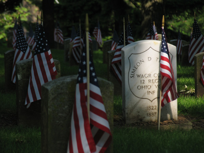 Cornus kousa, or Japanese dogwood.