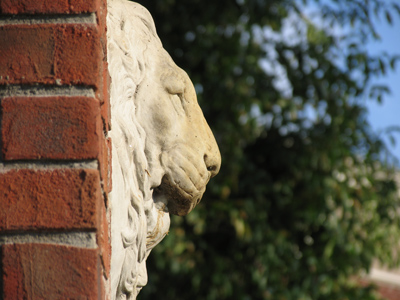 In the bowels of the public library.
