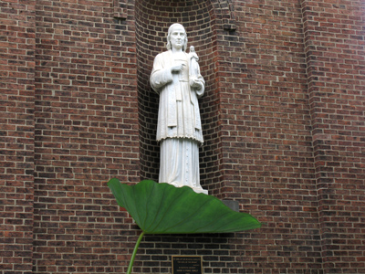 I`m reading a photography book that suggests experimenting with juxtapositions.