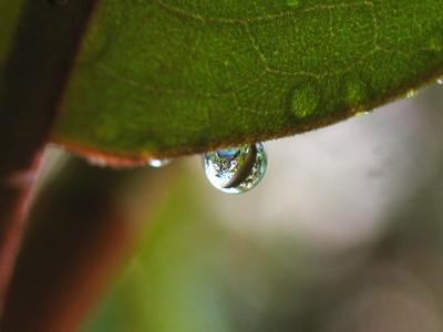 I went to an outdoor photography workshop this morning, although everyone else left because of the rain.