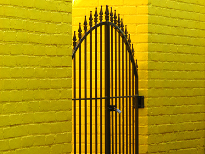 Xanthocyanopia:  the state of yellowness.