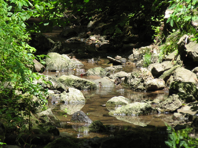 Down by the old mill stream.