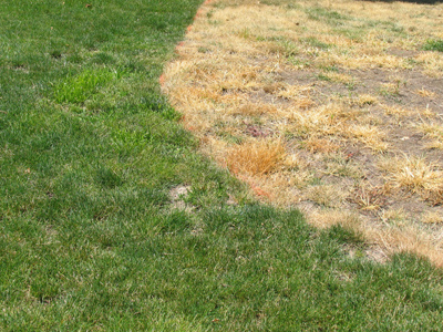 There has to be an explanation for this.