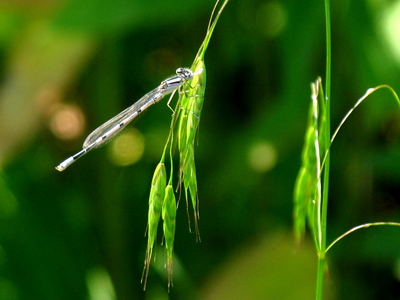 I shot a lot more than bugs today -- really.