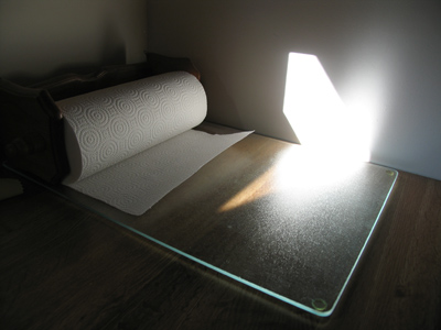 The Miraculous Apparition of the Paper Towel.