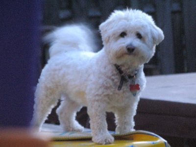 When picture-taking begins around 9:00pm, here`s the kind of stuff that results.