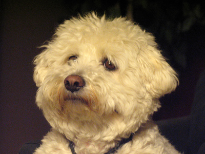 Some days there`s no motivation or interest, so you`d better be satisfied with these.