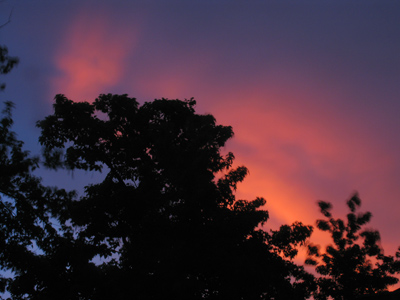 The calm AFTER the storm: the sky was bright with clouds gilded by the setting sun.